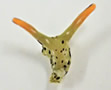 seaslughead