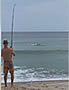 sharkfisher