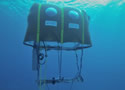 sharktent