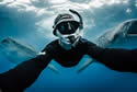 shawnheinriches