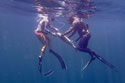 spearfishingfl