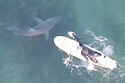surfershark