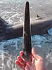 swordfishstab