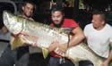 tarponhunt
