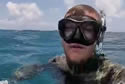 tigerdiver