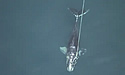 whaledraggin