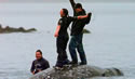 whalefight