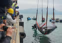 whalestrandchina