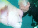 wrassekisser