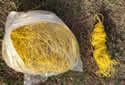 yellowstrands